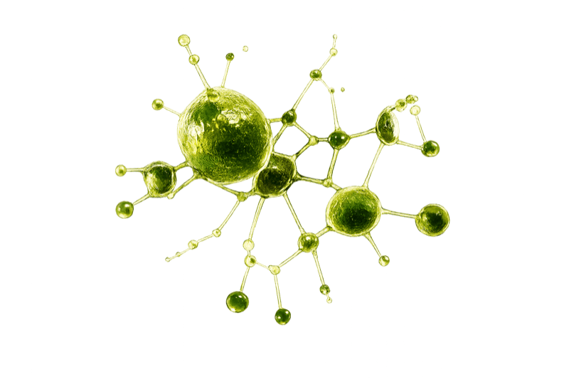 Bioenzymes break down odour molecules